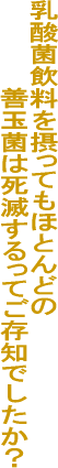 ���_�ۂ�ۂ��Ă����ʂȂ����Ă������H