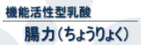 �P�ʋۂ𑝂₷�@�\�����^���_(���b�N) ����y�^�C�v